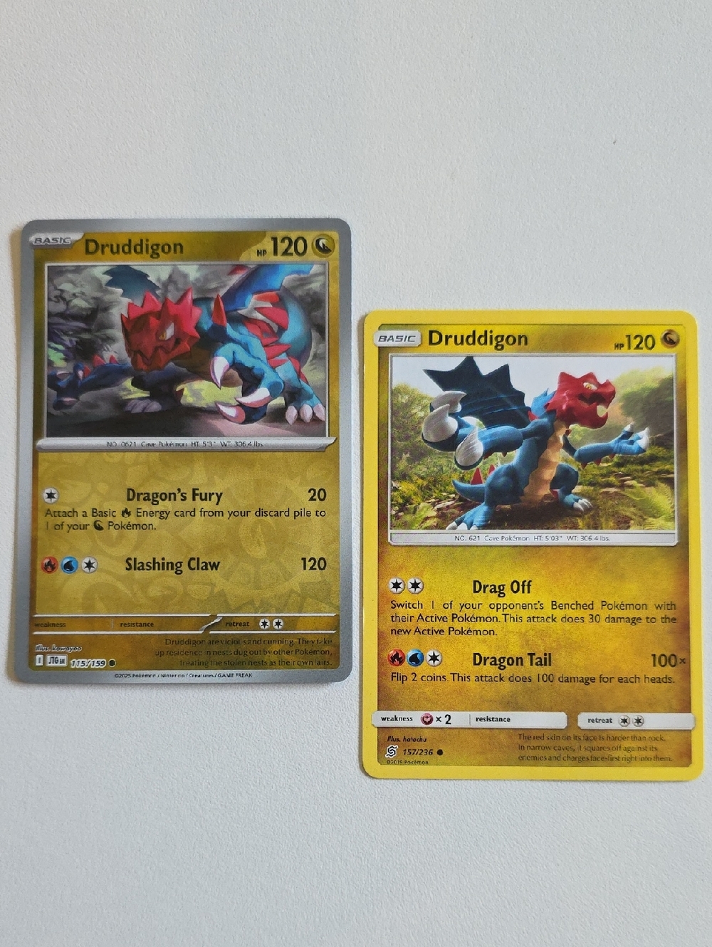 Pokemon Druddigon Cards